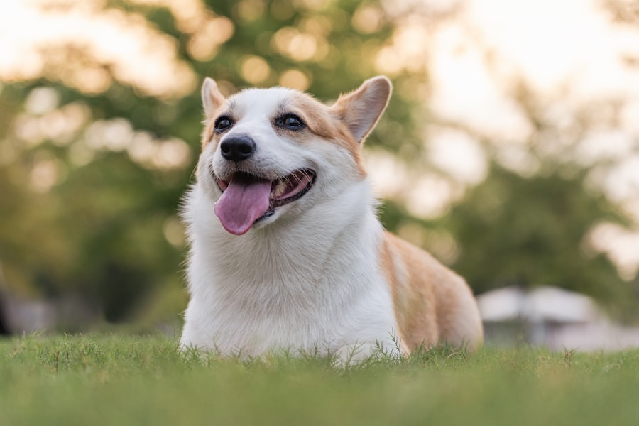 Spring Pest Prevention: 7 Things to Do Before the Bugs Come Back